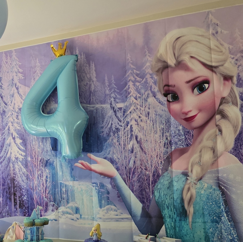 Elsa Birthday Party Decorations